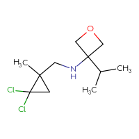 C11H19Cl2NO