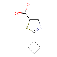 Chemical structure of 2-cyclobutyl-1,3-thiazole-5-carboxylic acid - CSSB00012181597