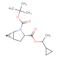C16H25NO4