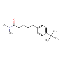 Chemical structure of 5-(4-tert-butylphenyl)-N,N-dimethylpentanamide - CSSB02010377687