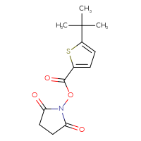 Chemical structure of 2,5-dioxopyrrolidin-1-yl 5-tert-butylthiophene-2-carboxylate - CSSB20271038298