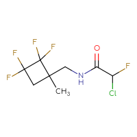 Chemical structure of 2-chloro-2-fluoro-N-[(2,2,3,3-tetrafluoro-1-methylcyclobutyl)methyl]acetamide - CSSB21332120975