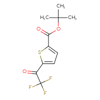 Chemical structure of tert-butyl 5-(2,2,2-trifluoroacetyl)thiophene-2-carboxylate - CSSB00103155444