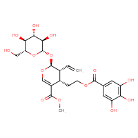 Chemical structure of methyl (2S,3R,4S)-3-ethenyl-2-{[(2S,3R,4S,5S,6R)-3,4,5-trihydroxy-6-(hydroxymethyl)oxan-2-yl]oxy}-4-[2-(3,4,5-trihydroxybenzoyloxy)ethyl]-3,4-dihydro-2H-pyran-5-carboxylate - CSSB00102630044