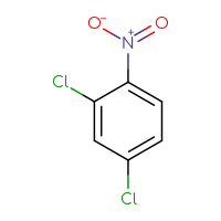 C6H3Cl2NO2