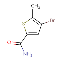 Chemical structure of 4-bromo-5-methylthiophene-2-carboxamide - CSSB00035752222