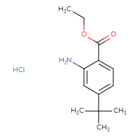 Chemical structure of ethyl 2-amino-4-tert-butylbenzoate hydrochloride - CSSB20963521066
