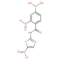 Chemical structure of {3-nitro-4-[(5-nitro-1,3-thiazol-2-yl)carbamoyl]phenyl}boronic acid - CSSB21531608648