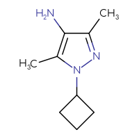 Chemical structure of 1-cyclobutyl-3,5-dimethyl-1H-pyrazol-4-amine - CSSB00010291341