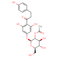 Chemical structure of (2S,3R,4S,5S,6R)-2-{3,5-dihydroxy-4-[3-(4-hydroxyphenyl)propanoyl]phenoxy}-4,5-dihydroxy-6-(hydroxymethyl)oxan-3-yl acetate - CSSB00137410174