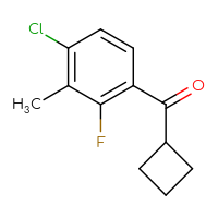 Chemical structure of (4-chloro-2-fluoro-3-methylphenyl)(cyclobutyl)methanone - CSSB00015102251