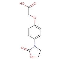 Chemical structure of 2-[4-(2-oxo-1,3-oxazolidin-3-yl)phenoxy]acetic acid - CSSB00005784337