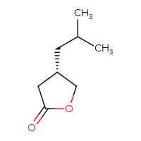Chemical structure of (4S)-4-(2-methylpropyl)oxolan-2-one - CSSB00015307557