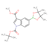 Chemical structure of 1-tert-butyl 3-methyl 5-(4,4,5,5-tetramethyl-1,3,2-dioxaborolan-2-yl)-1H-indole-1,3-dicarboxylate - CSSB21332154150