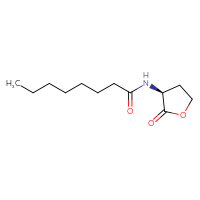 C12H21NO3