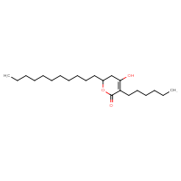 Chemical structure of 3-hexyl-4-hydroxy-6-undecyl-5,6-dihydro-2H-pyran-2-one - CSSB14813042780