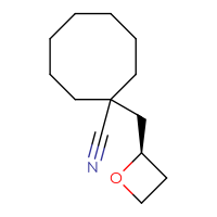 C13H21NO