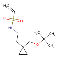 Chemical structure of N-(2-{1-[(tert-butoxy)methyl]cyclopropyl}ethyl)ethene-1-sulfonamide - CSMB21332075751
