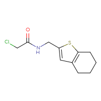 Chemical structure of 2-chloro-N-[(4,5,6,7-tetrahydro-1-benzothiophen-2-yl)methyl]acetamide - CSSB00156736773