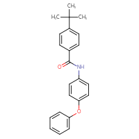 Chemical structure of 4-tert-butyl-N-(4-phenoxyphenyl)benzamide - CSSB00102547532