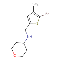 Chemical structure of N-[(5-bromo-4-methylthiophen-2-yl)methyl]oxan-4-amine - CSSB00021642792