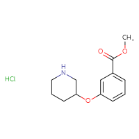 Chemical structure of methyl 3-(piperidin-3-yloxy)benzoate hydrochloride - CSSB00025743697