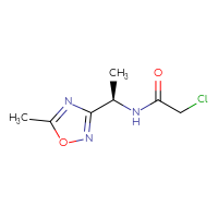 Chemical structure of 2-chloro-N-[(1R)-1-(5-methyl-1,2,4-oxadiazol-3-yl)ethyl]acetamide - CSSB20481131485