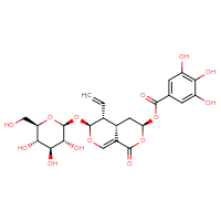 Chemical structure of (3S,4aS,5R,6S)-5-ethenyl-1-oxo-6-{[(2S,3R,4S,5S,6R)-3,4,5-trihydroxy-6-(hydroxymethyl)oxan-2-yl]oxy}-1H,3H,4H,4aH,5H,6H-pyrano[3,4-c]pyran-3-yl 3,4,5-trihydroxybenzoate - CSSB06256043783