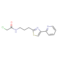 Chemical structure of 2-chloro-N-{3-[4-(pyridin-2-yl)-1,3-thiazol-2-yl]propyl}acetamide - CSSB21332097804