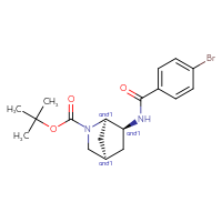 Chemical structure of rac-tert-butyl (1R,4R,6S)-6-(4-bromobenzamido)-2-azabicyclo[2.2.1]heptane-2-carboxylate - CSSB02523275179