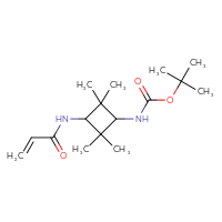 Chemical structure of tert-butyl N-[2,2,4,4-tetramethyl-3-(prop-2-enamido)cyclobutyl]carbamate - CSMB20949026639