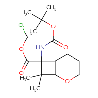C16H26ClNO5