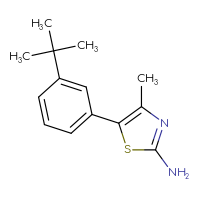 Chemical structure of 5-(3-tert-butylphenyl)-4-methyl-1,3-thiazol-2-amine - CSSB06368600516