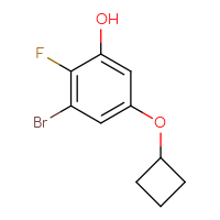 C10H10BrFO2