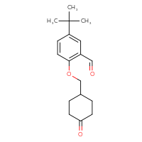 Chemical structure of 5-tert-butyl-2-[(4-oxocyclohexyl)methoxy]benzaldehyde - CSSB21349247737