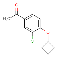 Chemical structure of 1-(3-chloro-4-cyclobutoxyphenyl)ethan-1-one - CSSB00011772470
