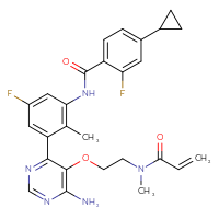 Chemical structure of N-(3-{6-amino-5-[2-(N-methylprop-2-enamido)ethoxy]pyrimidin-4-yl}-5-fluoro-2-methylphenyl)-4-cyclopropyl-2-fluorobenzamide - CSSB00161189206
