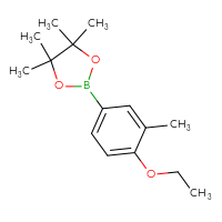 Chemical structure of 2-(4-ethoxy-3-methylphenyl)-4,4,5,5-tetramethyl-1,3,2-dioxaborolane - CSSB00012617577