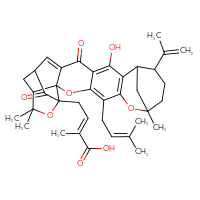 Chemical structure of (2E)-4-[14-hydroxy-8,23,23-trimethyl-5-(3-methylbut-2-en-1-yl)-16,20-dioxo-11-(prop-1-en-2-yl)-3,7,22-trioxaheptacyclo[17.4.1.1⁸,¹².0²,¹⁷.0²,²¹.0⁴,¹⁵.0⁶,¹³]pentacosa-4,6(13),14,17-tetraen-21-yl]-2-methylbut-2-enoic acid - CSSB20519749006