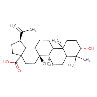 Chemical structure of (1R,3aS,5aR,5bR,9S,11aR)-9-hydroxy-5a,5b,8,8,11a-pentamethyl-1-(prop-1-en-2-yl)-icosahydro-1H-cyclopenta[a]chrysene-3a-carboxylic acid - CSSB02516458616