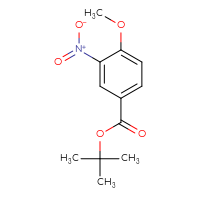 Chemical structure of tert-butyl 4-methoxy-3-nitrobenzoate - CSSB00003462612
