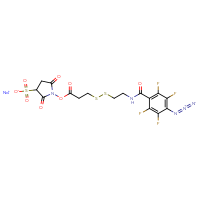 Chemical structure of sodium 1-{[3-({2-[(4-azido-2,3,5,6-tetrafluorophenyl)formamido]ethyl}disulfanyl)propanoyl]oxy}-2,5-dioxopyrrolidine-3-sulfonate - CSSB00015231749