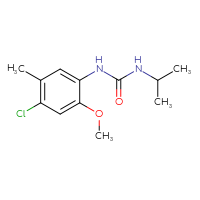 Chemical structure of 1-(4-chloro-2-methoxy-5-methylphenyl)-3-(propan-2-yl)urea - CSSB00000419720