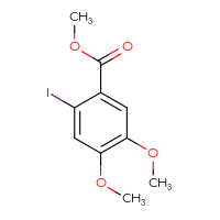 C10H11IO4