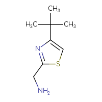 Chemical structure of 1-(4-tert-butyl-1,3-thiazol-2-yl)methanamine - CSSB00000752331