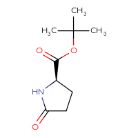 Chemical structure of tert-butyl (2R)-5-oxopyrrolidine-2-carboxylate - CSSB00000726876