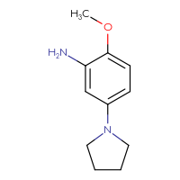 Chemical structure of 2-methoxy-5-(pyrrolidin-1-yl)aniline - CSSB00012017305