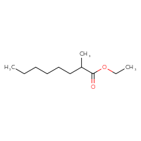 Chemical structure of ethyl 2-methyloctanoate - CSSB00000104849