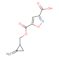 C10H9NO5