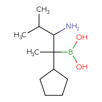 C11H24BNO2